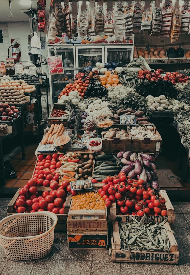 Illustration de l'article "Régime méditerranéen : le guide complet basé sur les dernières études scientifiques 2024" sur la nutrition et l'alimentation saine par Anne-Laure, diététicienne